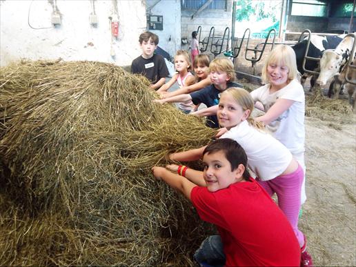 jungbauern bei der arbeit